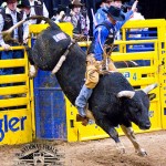 Your Bucket List: Professional Bull Riders World Finals