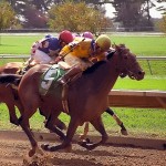 Tips for Selecting Breeder’s Cup Tickets